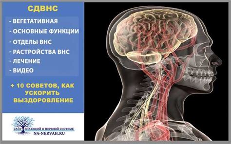 Особенности неврологического состояния у лиц, использующих корректирующие оптические средства