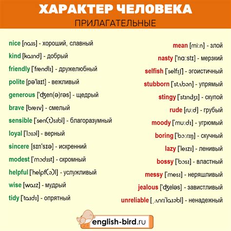 Особенности описания друга на английском языке: советы и рекомендации