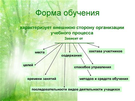 Особенности организации учебного процесса в присутственной форме обучения