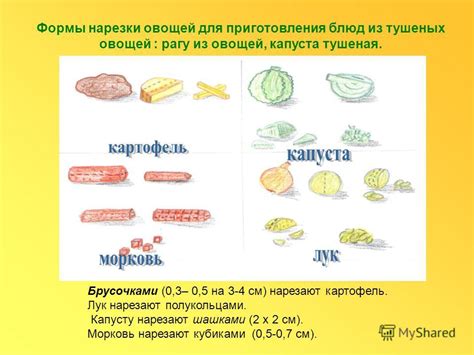 Особенности подбора овощного ассортимента для приготовления тушеных блюд