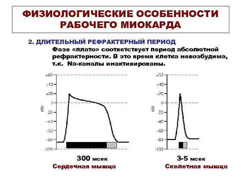 Особенности рабочего процесса