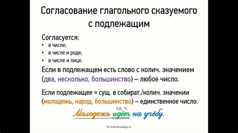 Особенности согласования составного глагольного сказуемого с подлежащим