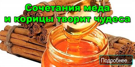 Особенности сочетания меда с разнообразными видами горячего чая