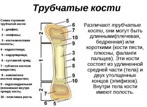 Особенности ухода и обслуживания трубчатой части фонтанных механизмов