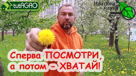 Оставьте яйца на месте и не трогайте их