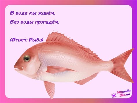 Отзывы о рыбе коховай