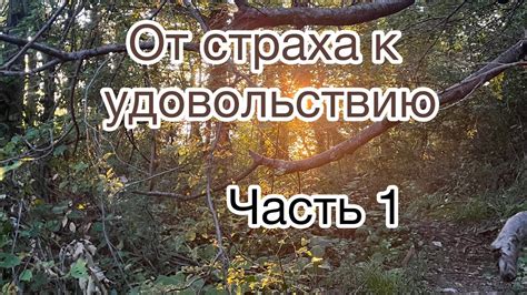 Откуда берется страх