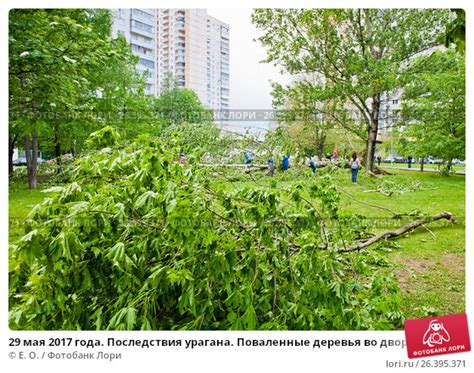 Отрицательные последствия незавершенного озеленения во дворе