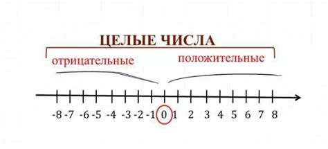 Отрицательные числа и их особенности