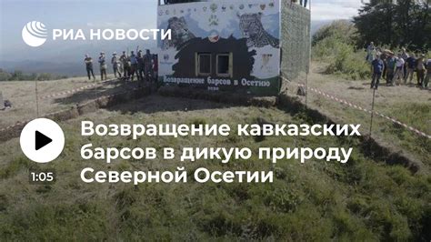 Отсрочите возвращение в дикую природу