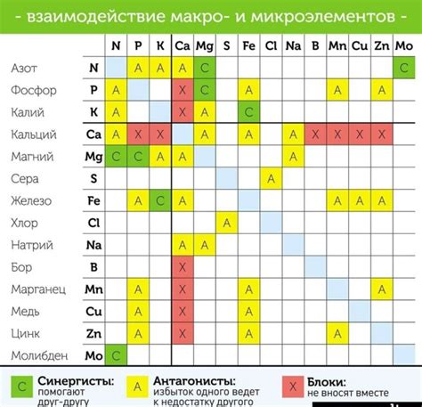 Отсутствие витаминов и микроэлементов