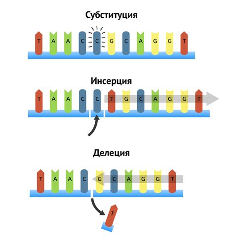 Отсутствие микросателлитной нестабильности: важность исследования