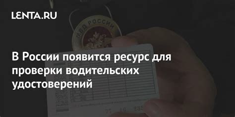 Официальные ресурсы для проверки водительских удостоверений