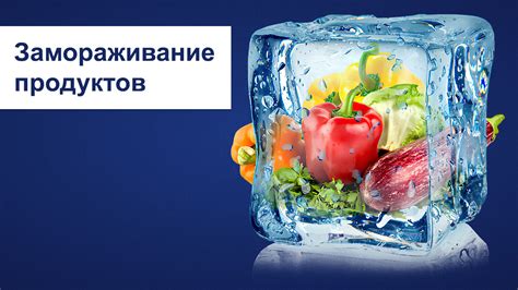 Охлаждение и замораживание продуктов