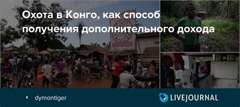 Охота: возможность получения дополнительного дохода и улучшения навыков