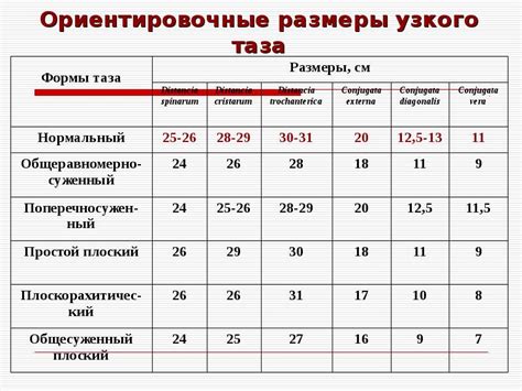 Оценка размеров и параметров