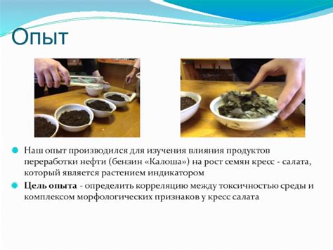 Очистка продуктов от загрязнений