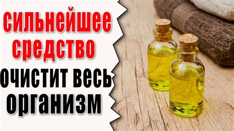 Очищение организма при голодовке на воде: натуральные "метелки" для тела