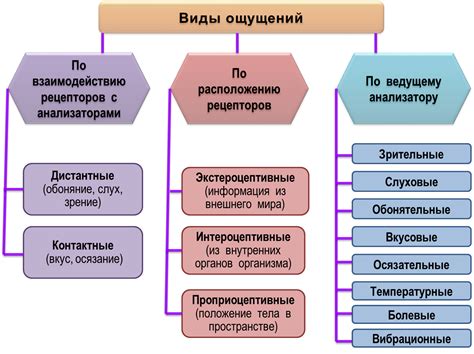 Ощущения и значимость