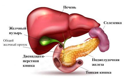 Панкреатит, холангит, рак желчного пузыря