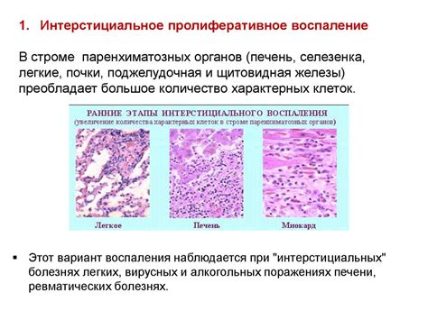 Патогенез воспаления при нормальной температуре тела