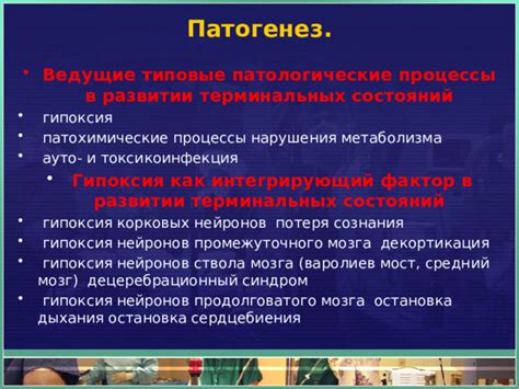 Патологические механизмы нарушения динамики корковых ритмов