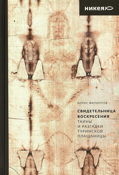 Паук в сновидениях: тайны и разгадки