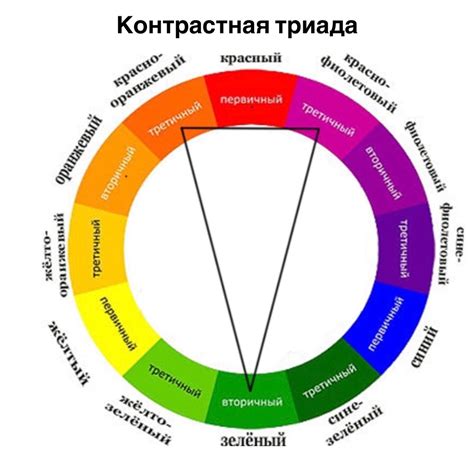 Пересаживание цветов: основные правила