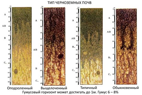 Переутомление почвы