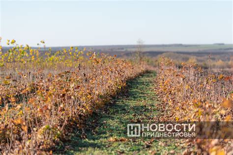 Питание в дневные часы