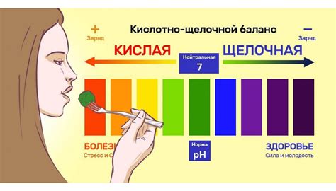 Питание и кислотность организма