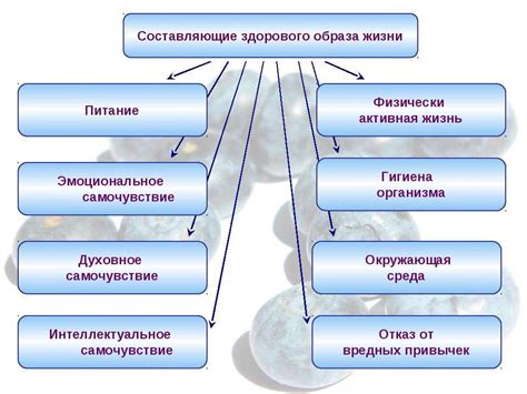 Питание и образ жизни: как они влияют на состояние кожи на пальцах