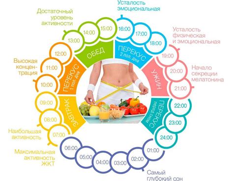 Питание и режим питания