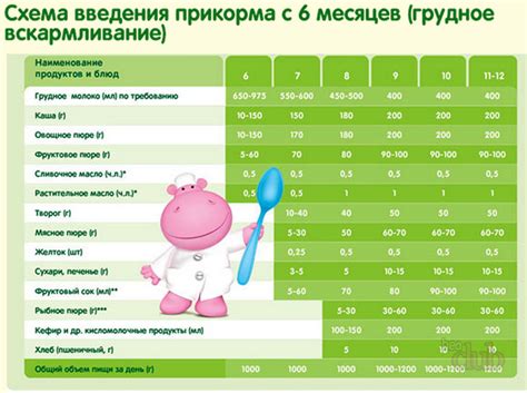 Питание малыша в 6 месяцев: время введения разнообразной пищи