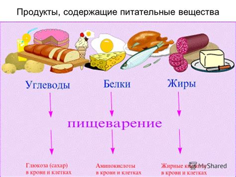 Питательные вещества: выгода и польза