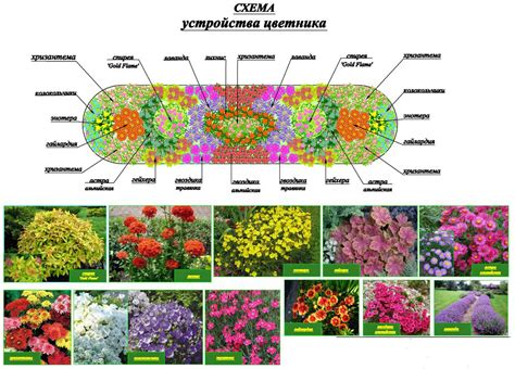 Планирование и разметка клумбы