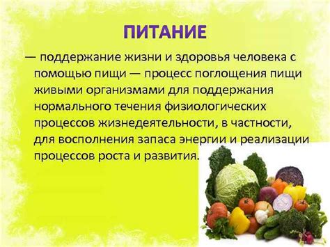 Планы и забота для плюща: питание и поддержание оптимального влажности