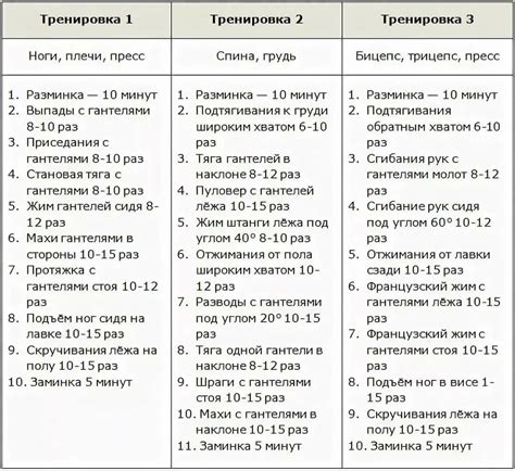 План разработки питания и тренировок