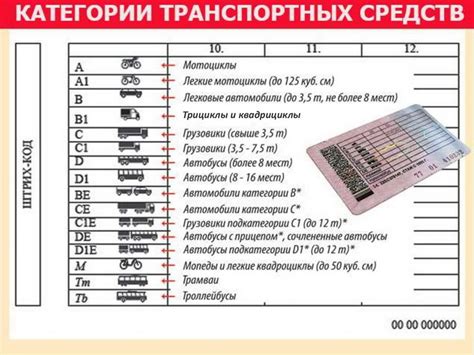 Плюсы и минусы использования категории А при управлении квадроциклом