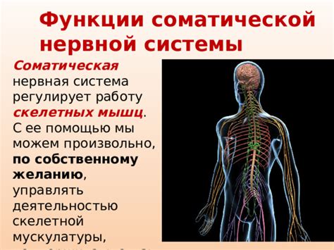 Повреждение соматической нервной системы