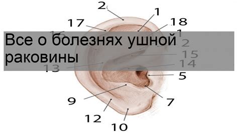 Повреждения ушной раковины