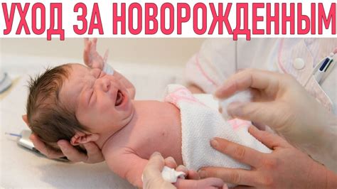 Повышение безопасности пищи: забота о здоровье малыша