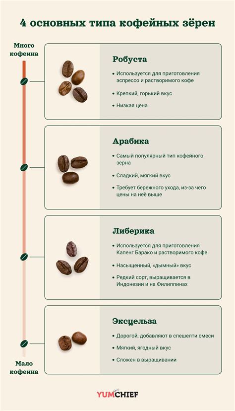 Подбор подходящих сортов кофейных зерен