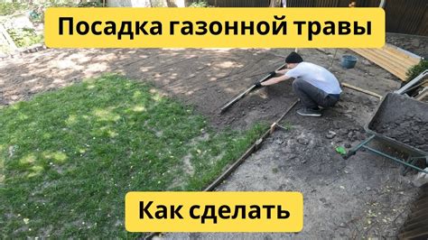 Подготовка земли и посадка