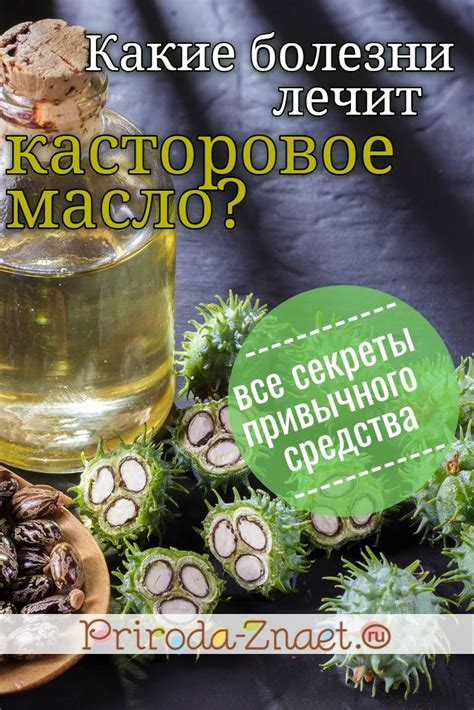 Подготовка касторового масла