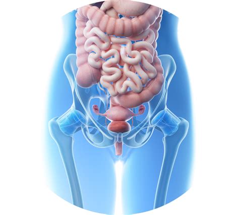Поддержание здоровья органов малого таза