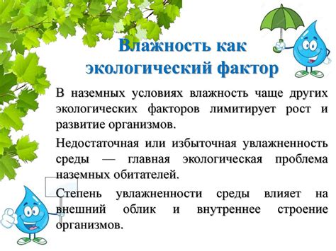 Поддержание необходимых условий: свет, температура, влажность