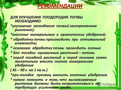 Поддержание оптимальной влажности и питательности почвы