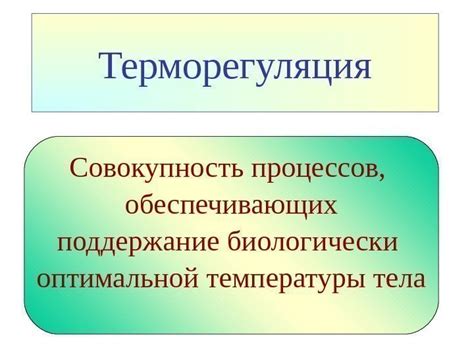 Поддержание оптимальной температуры и влажности