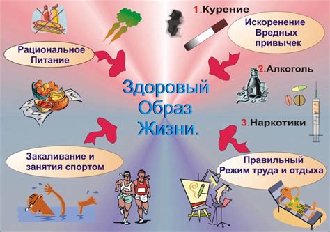 Поддержка организма и здоровый образ жизни